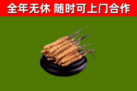 望城烟酒回收冬虫夏草.jpg